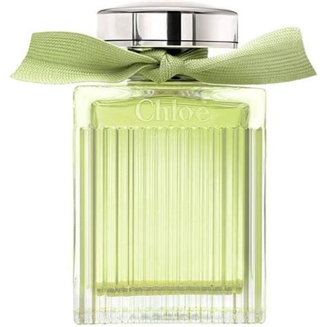 chloe parfum grün|chloe perfume reviews.